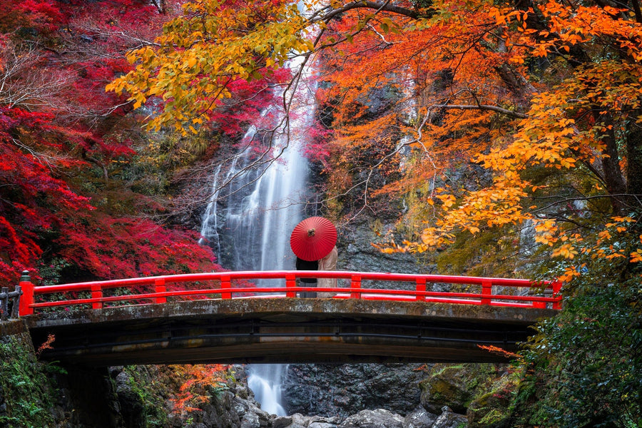 Red Bridge in Minoh Waterfall Wall Mural Peel and stick Wall Mural Deposit Photo Color Original Custom Size