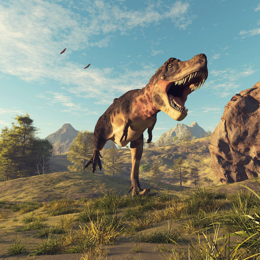 The Roaring Apex Wall Mural features a fierce Tyrannosaurus rex striding through a sunlit, grassy prehistoric scene—an epic, peel and stick removable wallpaper that's perfect for any room.