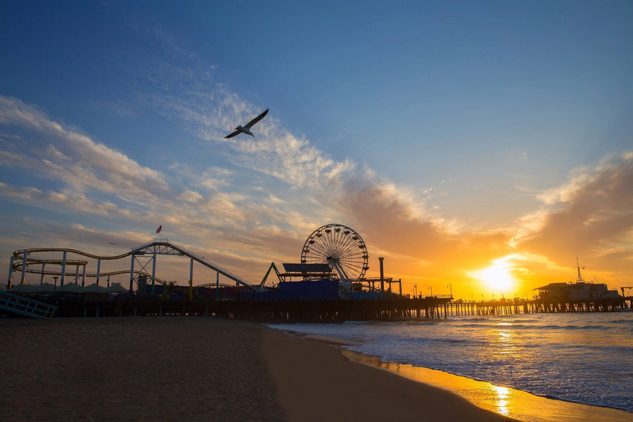 Santa Monica Pier Wall Mural - Peel and Stick Wall Murals Peel and stick Wall Mural Deposit photo Color Original Custom Size