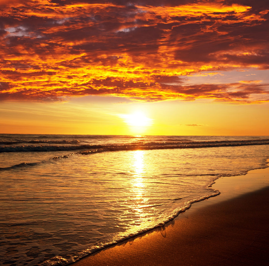 A breathtaking sea sunset on the beach – Peel and Stick Wall Murals