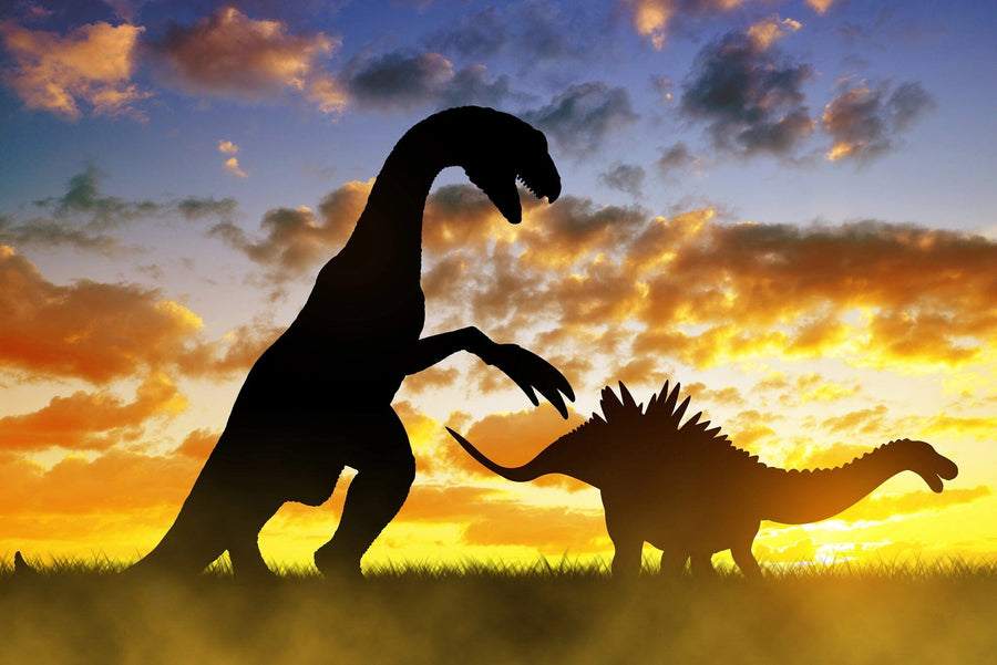 The Silhouette of Dinosaurs Wall Mural by photo features a Stegosaurus-like dinosaur with spikes and a towering bipedal dino with a long neck and claws. An orange-yellow sunset sky with scattered clouds adds drama, ideal for peel-and-stick wall murals.