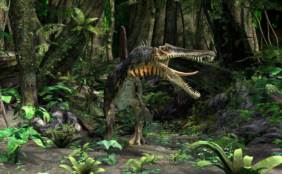 In a vibrant prehistoric scene, a Spinosaurus with a long snout and sharp teeth stands in a dense, green forest. Its textured skin blends with the foliage as sunlight highlights ferns and leaves around it—perfectly captured in the photo's Spinosaurus Wall Mural.