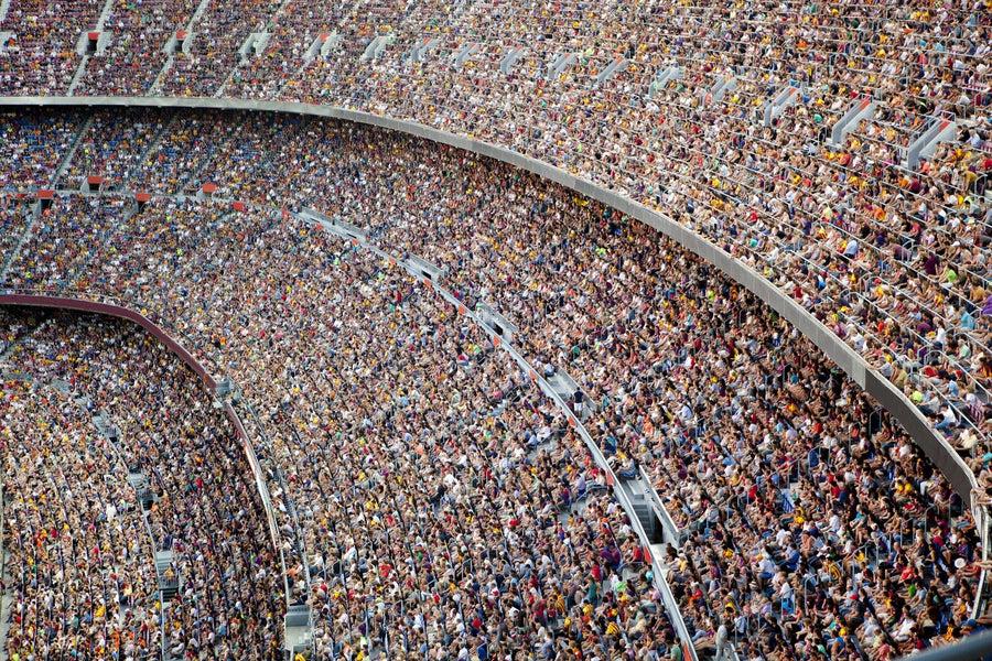 stadium full of fans – Peel and Stick Wall Murals