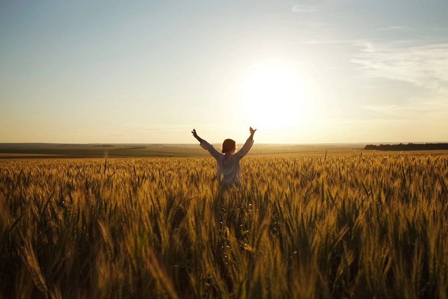 Standing in Wheat Field Wall Mural Peel and stick Wall Mural photo Color Original Custom Size