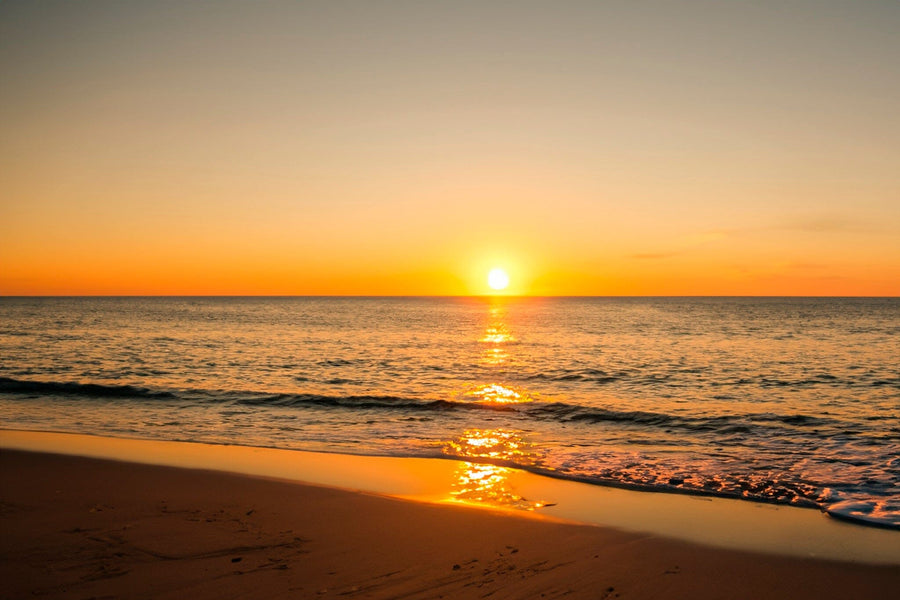 The golden hues of a sunset reflecting on a tranquil ocean, as depicted in the "Sunset on the Shore Wall Mural," mirror the serene beauty of dusk. The sky shifts from orange to pale blue while gentle waves embrace the sandy shore, capturing a peaceful moment.