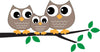 Sweet Owl Family Wall Mural - Peel and Stick Wall Murals Peel and stick Wall Mural Deposit photo Color Flipped Custom Size