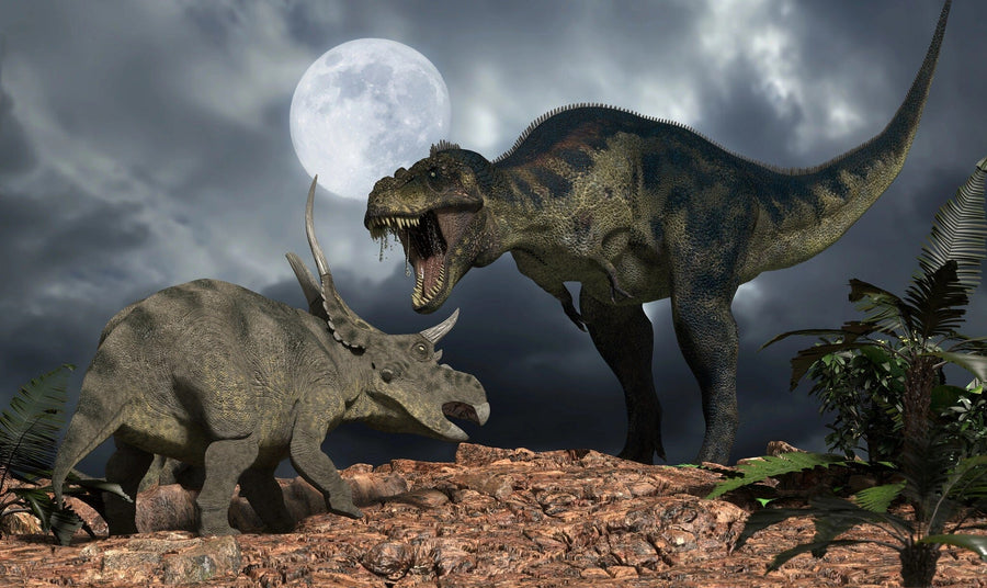 The T-Rex vs Triceratops Wall Mural captures a Tyrannosaurus rex roaring on a rocky hilltop under a full moon, facing a Triceratops ready to defend. Set against a cloudy night sky and lush foliage, it evokes the prehistoric era, making it ideal for custom printed designs.