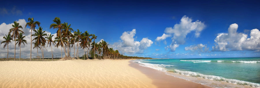 Transform your space into a tropical paradise with the Tropical Exotic Beach Wall Mural, featuring golden sand meeting the ocean on the left, gentle waves under a bright blue sky and fluffy clouds, and tall palm trees casting serene shadows.