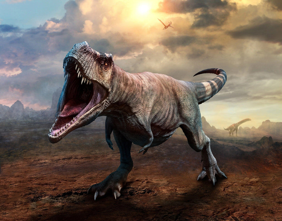 The Tyrannosaurus Rex 3D Wall Mural by depicts a roaring T. rex with its mouth wide open in a dramatic prehistoric setting. Perfect as a peel and stick mural, it showcases sunset clouds with another dinosaur and flying pterosaur completing the vivid scene.