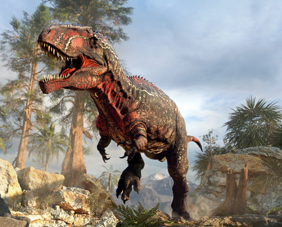 Experience the Dino 2 Wall Mural: a stunning, lifelike T. rex with dark scaly skin and red markings roaring in a prehistoric landscape. Easy to apply, this peel and stick removable wallpaper transforms any space instantly.