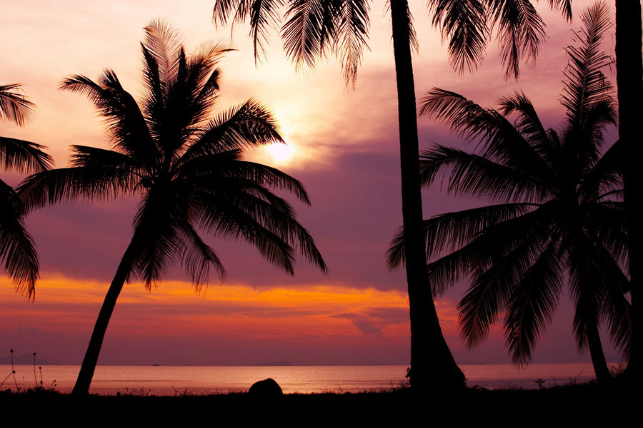 A serene violet sunset over the ocean with silhouetted palm trees in the background – Peel and Stick Wall Murals