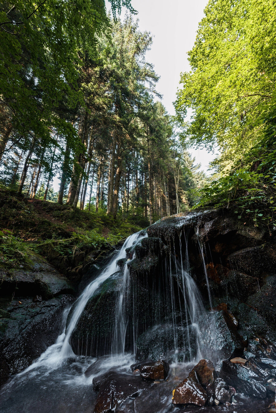 Water falling on Wet Stones Wall Mural Peel and stick Wall Mural Deposit Photo Color Original Custom Size