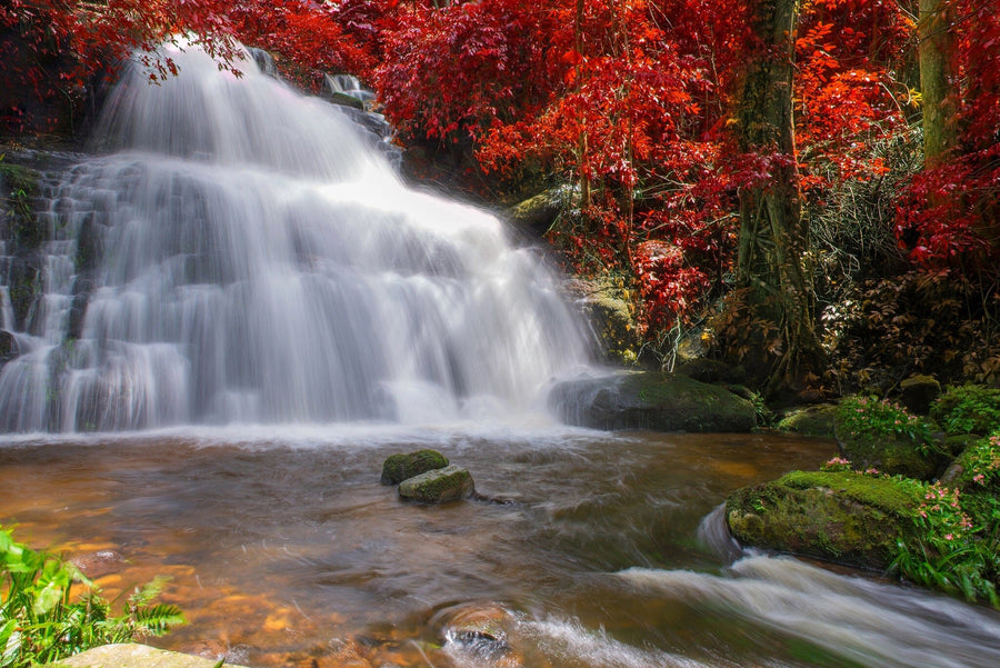 Waterfall in Rainforest Wall Mural Peel and stick Wall Mural Deposit Photo Color Original Custom Size