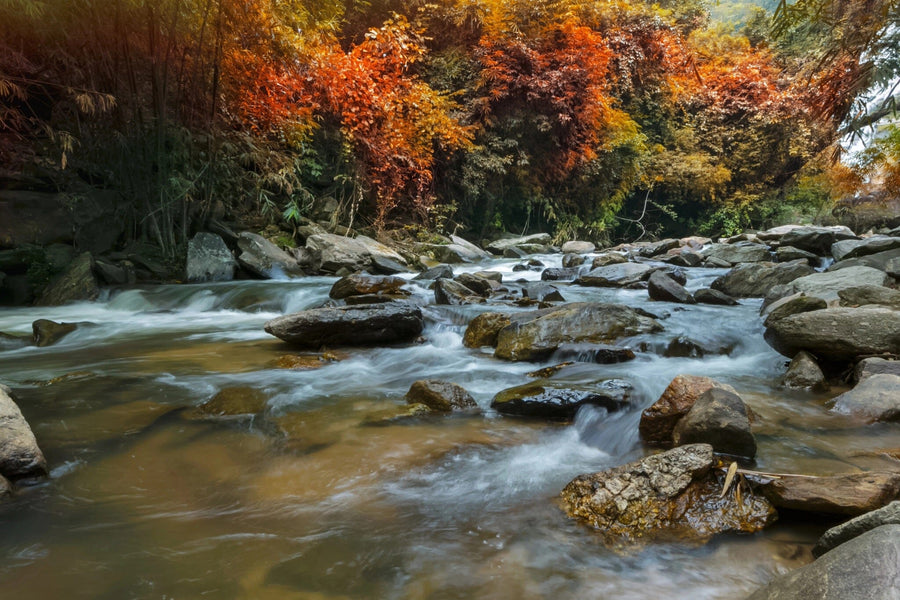 Waterfalls in the Wilderness Wall Mural Peel and stick Wall Mural Deposit Photo Color Original Custom Size