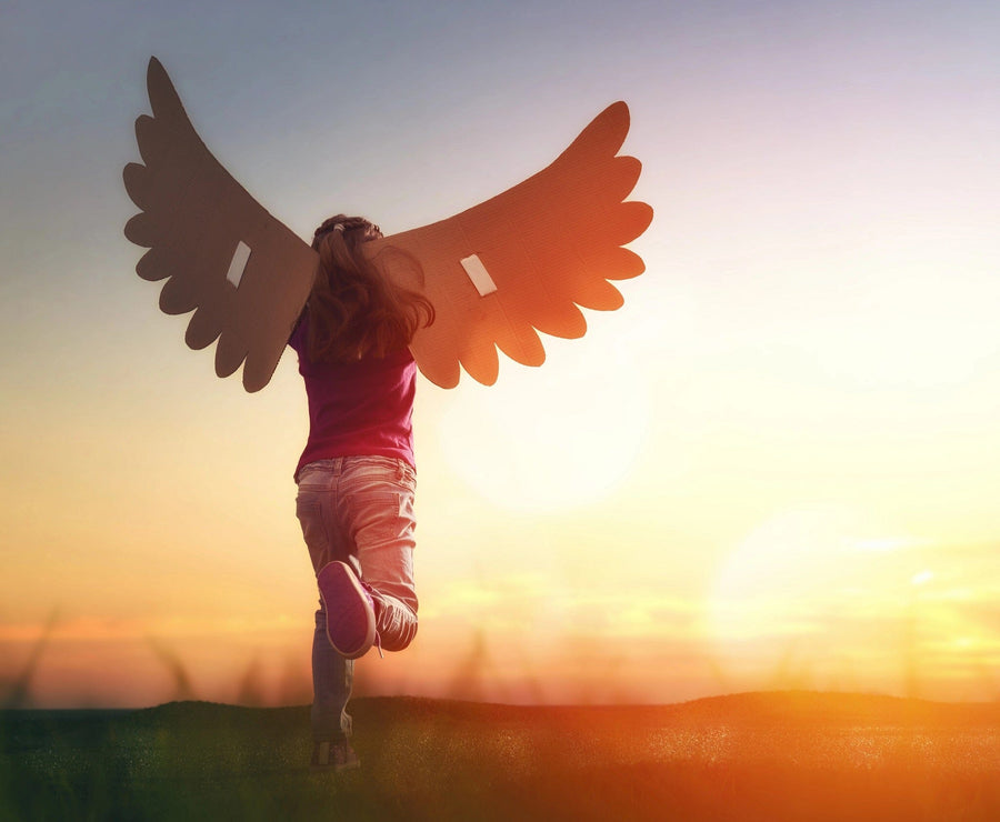 As the child runs through the sunset field with cardboard wings, the sky becomes a vivid blend of orange and pink, resembling a Wings Wall Mural by, Wearing jeans and a red shirt, they lift their arms to mimic flying, embodying freedom and imagination.