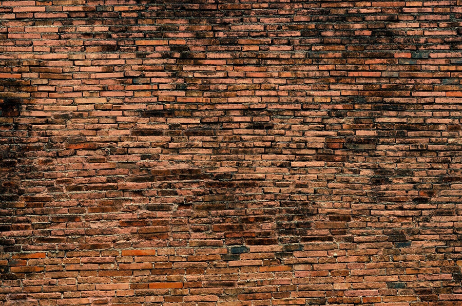 A close-up of aged, reddish-brown bricks with a rugged texture in the Brick 6 Wall Wall Mural offers striking inspiration for custom peel and stick wall murals or removable wallpaper. Perfect for adding character to any space.
