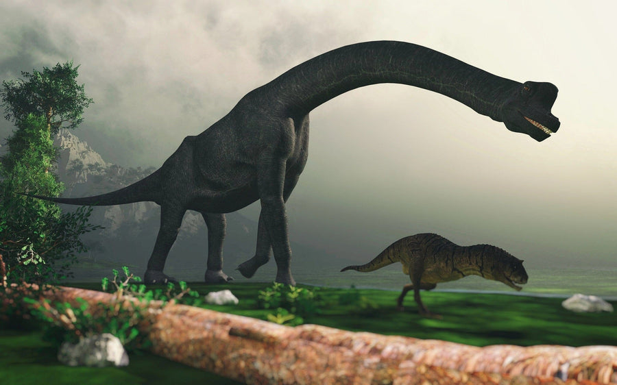A giant sauropod with a long neck stands by a tree, towering over a smaller theropod on grassy terrain; misty mountains create a prehistoric scene—ideal for custom decor with the Dino 6 Wall Mural.