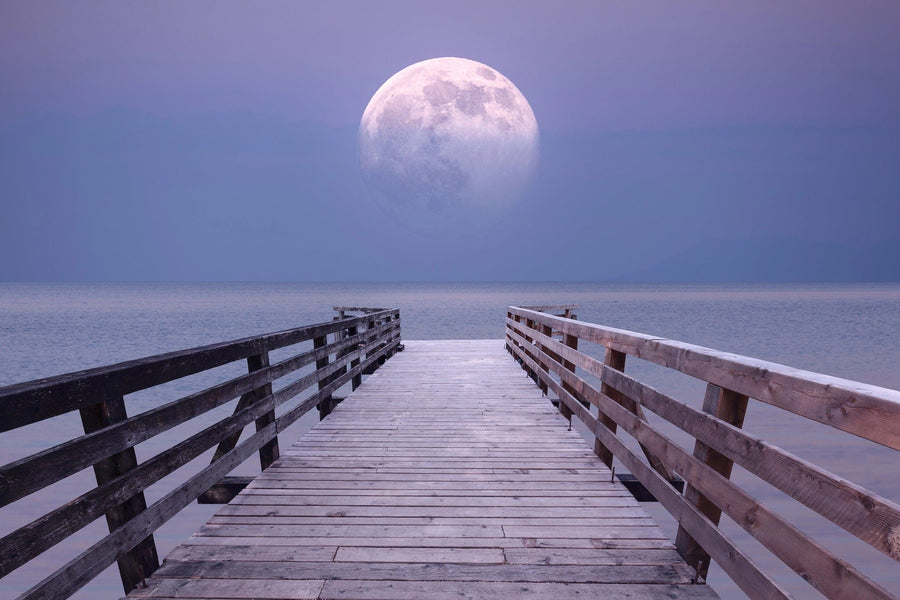 A modern living and dining area with wooden floors, contemporary furniture, plants, soft lighting, and calming blue, green, and wood tones is highlighted by the Moonlit Horizon Wall Mural featuring a moonlit pier over water.
