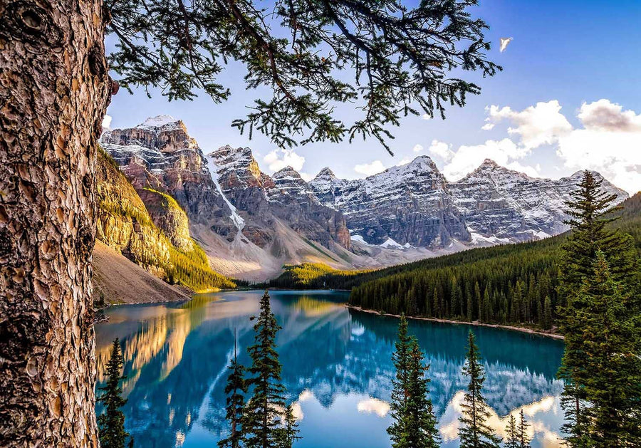A modern living and dining room with wood floors, teal chairs, a beige sofa, and the Moraine Lake and Mountain Range Wall Mural brings vibrant mountain and lake scenery into this stylish, contemporary space.