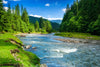 Mountain Fast River Wall Mural