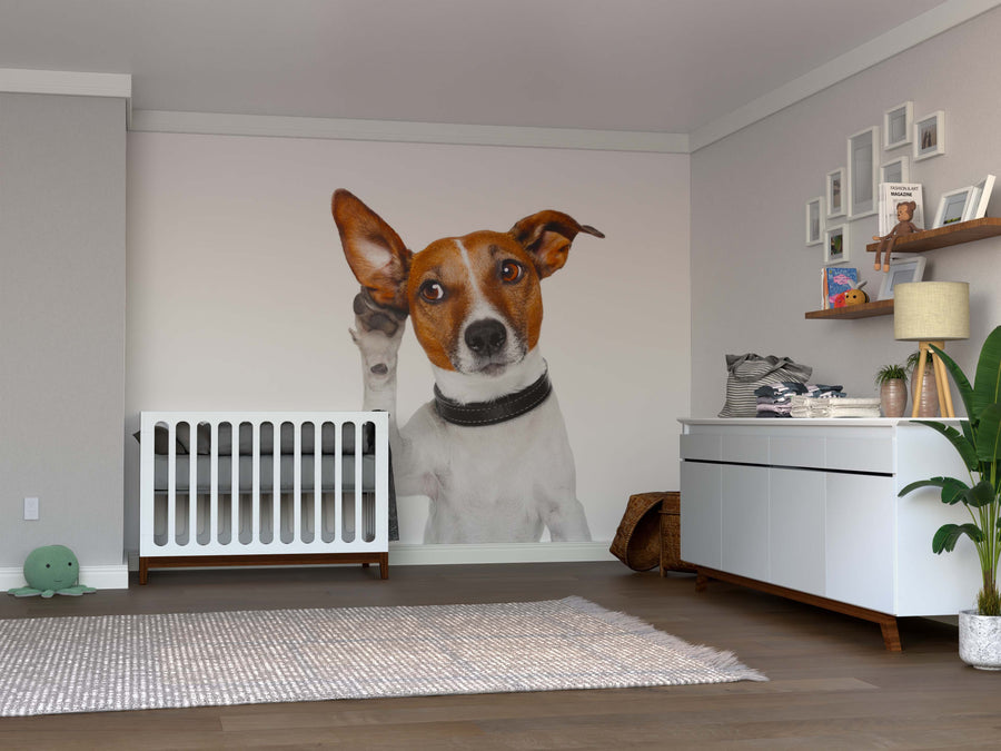 A nursery features the Curious Dog Wall Mural showing a brown and white dog with one ear up beside a white crib, plus a white dresser with baby supplies, a decorated shelf, green plant, and beige rug on wooden floors.