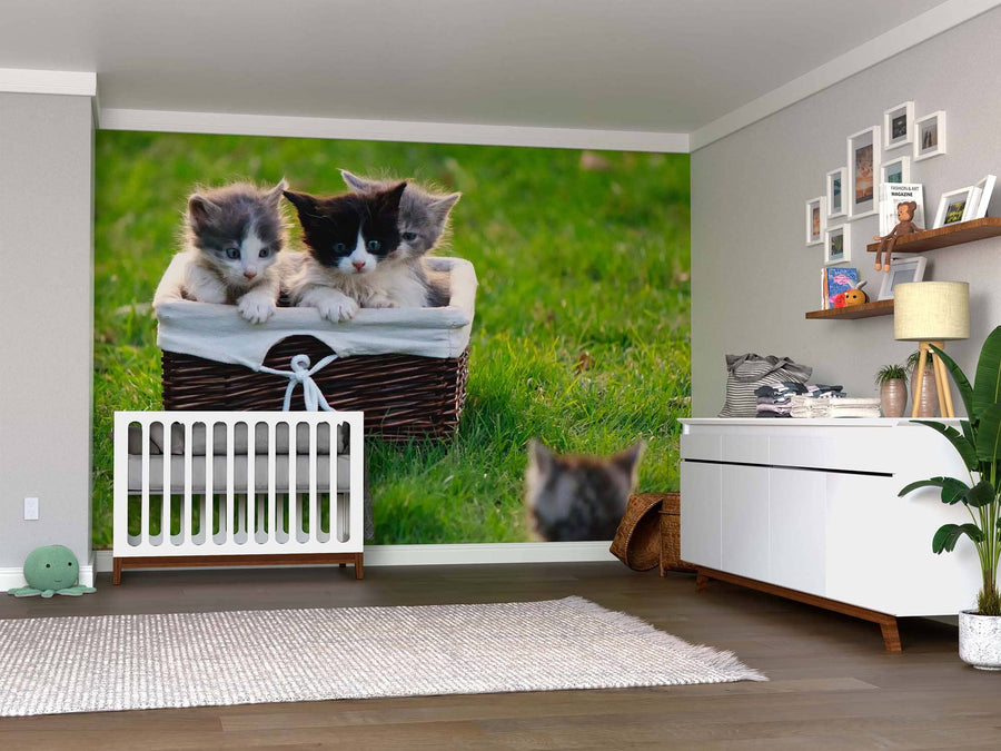 A nursery showcases the Curious Kittens Wall Mural, featuring three kittens in a basket on grass. The room includes a white crib, dresser, toy shelves, potted plant, and wooden flooring for a cozy, playful feel.