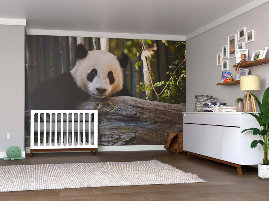 Modern nursery featuring the Cute Panda Wall Mural of a panda resting on a log. Room includes a white crib, dresser with changing pad, playful décor, potted plant, woven basket, wooden floor, and textured rug.