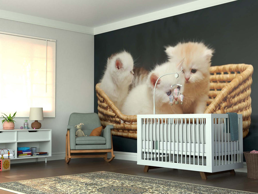 A cozy nursery features the Kitten Basket Wall Mural showing three fluffy kittens in a wicker basket, along with a white crib and mobile, armchair with teddy bear, side table, bookshelf, window blinds, and a patterned rug.