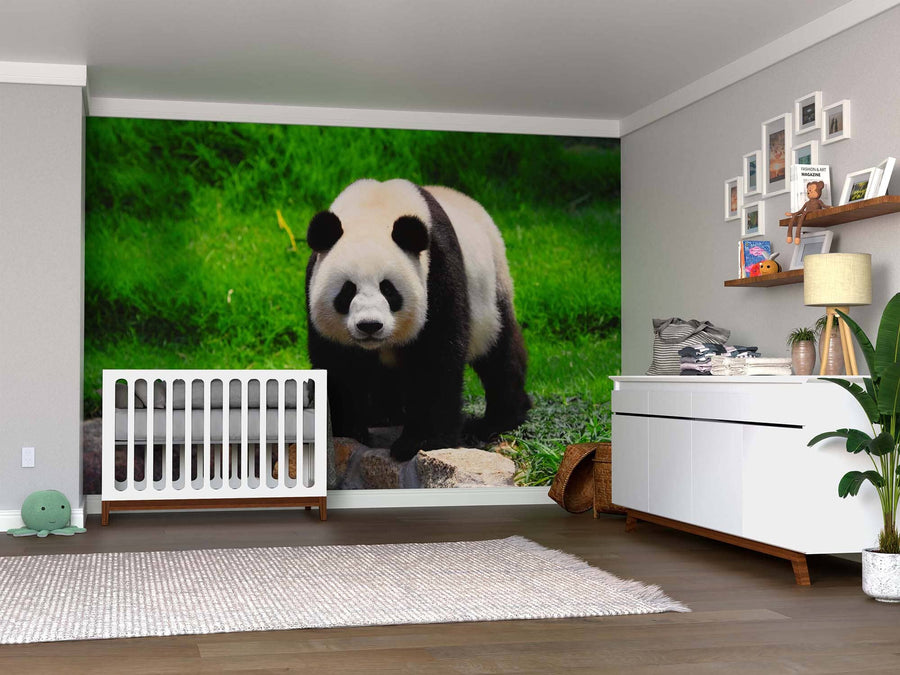 A nursery with a white crib, dresser, and shelves features the Panda Bear Wall Mural showing a giant panda on grass and rocks. Wood floors, a rug, and soft lighting complete the cozy space.