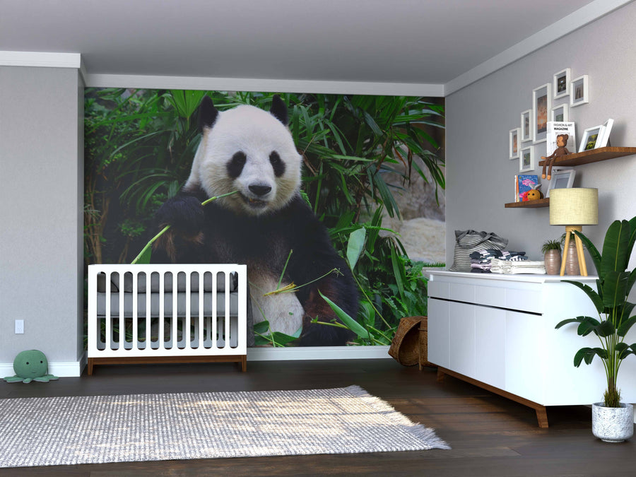 A bright nursery with a white crib, dresser, and shelves showcases the Panda Eating Bamboo Wall Mural. Peel and Stick Wall Murals, plants, baskets, and toys add warmth to this cozy space with dark wood floors and a gray rug.