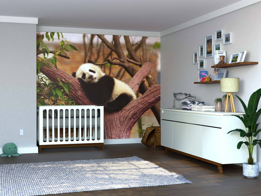 Create a cozy, playful nursery with the Sleeping Baby Panda Wall Mural above a white crib. This peel and stick mural shows a panda on a tree, complemented by white dresser, plants, wood flooring, art, and cute baby toys.