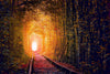 Old Autumn Trees Tunnel with Old Railway Wall Mural Wallpaper Mural Color Original Custom Size