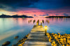 The "Old Bridge Wall Mural" by Photo features a wooden pier stretching into a serene lake at sunset, with luminous lanterns along the path. The vibrant sky in purple, pink, and orange hues reflects on the water beside silhouetted distant hills, creating an ideal tranquil mural scene.