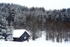 Old cabin in the winter forest – Peel and Stick Wall Murals