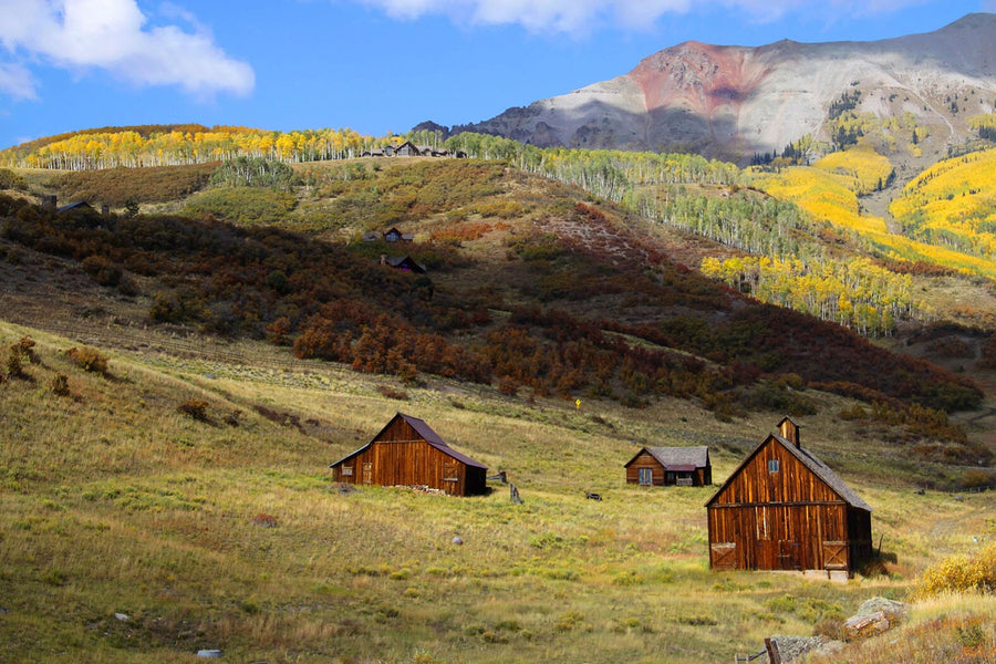 A bright bedroom features a bed with a wooden headboard, nightstands, a bench, and a Barns in San Juan Mountains Wall Mural. The room includes a rug, plant, ceiling fan, and glass doors with beige curtains streaming sunlight.
