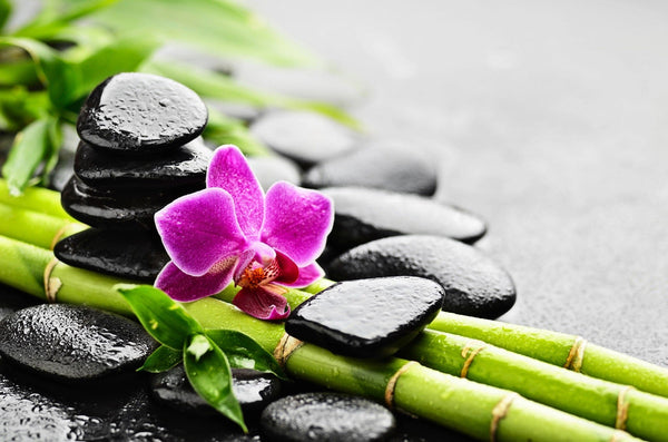 The Orchid on Bamboo Wall Mural by Photo depicts a vibrant pink orchid resting on smooth black stones with fresh green bamboo beneath, creating a serene, spa-like atmosphere. Water droplets add to the tranquility, while the softly blurred background enhances this soothing scene.