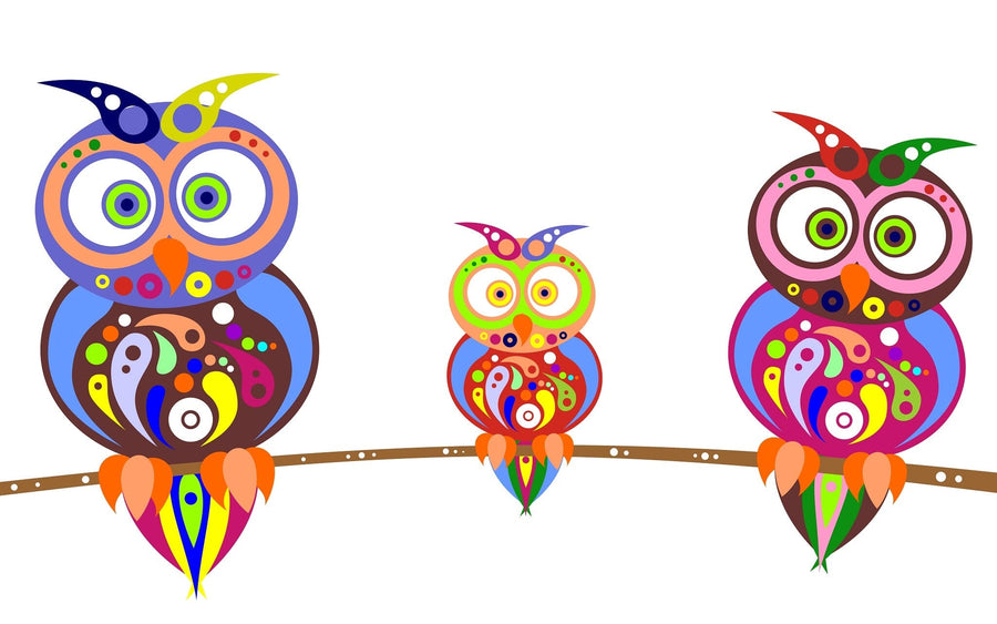 A nursery room features a white crib, the Owl Kinship Wall Mural with colorful cartoon owls, a dresser with a plant, a basket, and shelves displaying decor—all on a dark wood floor and light-colored walls.
