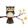 Owl on A Branch Peel and Stick Wall Mural Peel and stick Wall Mural Deposit photo Color Original Custom Size