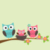 The "Owls in a Cozy Nest Wall Mural" by Deposit Photo features three cartoon owls—one blue, one pink, and a smaller pink owl in a flower-adorned nest. Set against a light green background with green leaves and pink blossoms, it's perfect for removable wallpaper or custom murals.