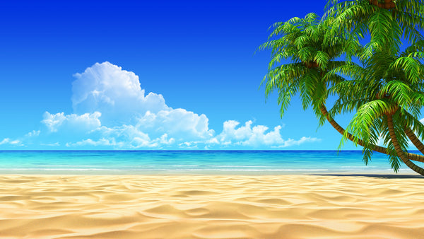 palms on empty idyllic tropical beach – Peel and Stick Wall Murals