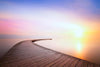 A long, curved wooden boardwalk stretches over tranquil water beneath a pastel sky at sunrise or sunset. The serene scene of our Pastel Pier Sunset Wall Mural is ideal for transforming your space with custom printed or peel and stick mural options.