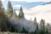 Picturesque View of Foggy Forest in Mountains in the Morning Wall Mural Wallpaper Mural Deposit Photo Color Original Custom Size