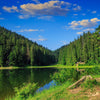 Scenic lake with lush green trees and grassy shore – Peel and Stick Wall Murals