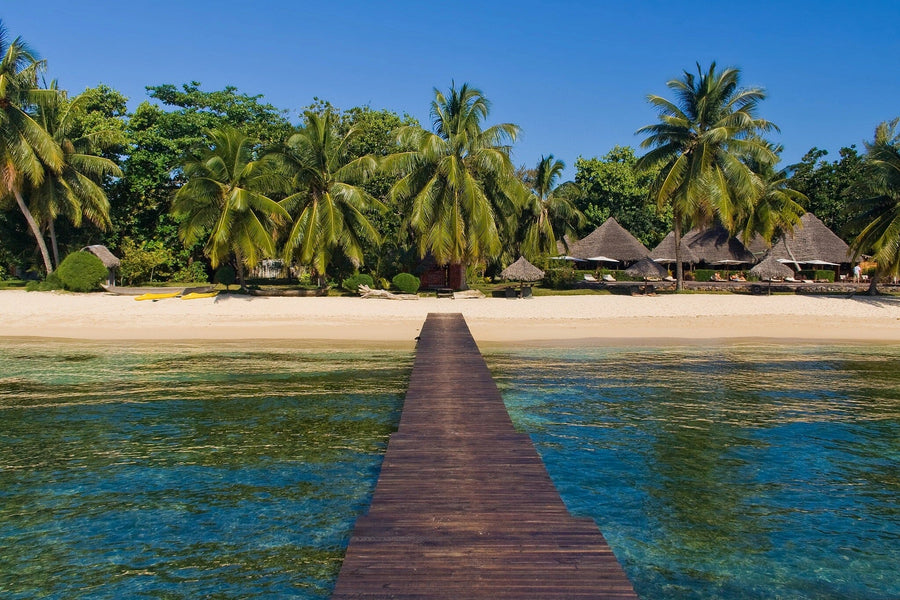 A modern living-dining space with wooden floors, green chairs, a low coffee table, and dining set is enhanced by the Pontoon Beach and Resort Wall Mural, depicting a sunny beach with palm trees and huts for an open, breezy feel.