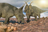 Two horned dinosaurs, similar to Triceratops, confront each other on rocky terrain under a cloudy sky, with the sun casting shadows and highlighting their textured skin. The Prehistoric Battle Wall Mural captures this stunning scene to bring ancient wonders into your space.