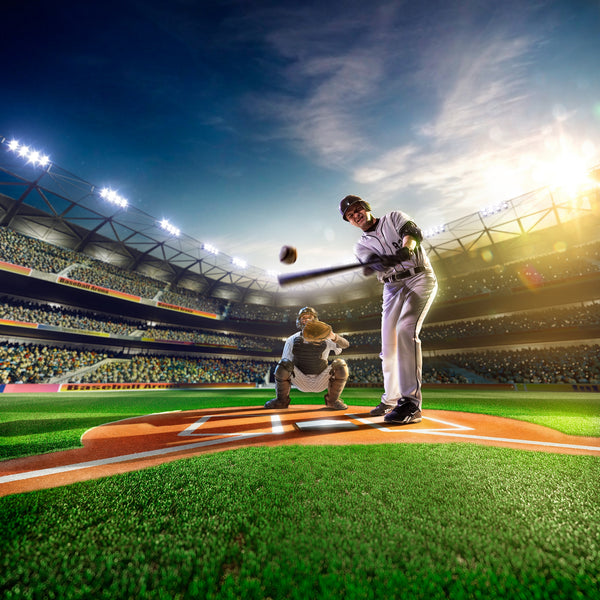 Professional Baseball Players on a Grand Field – Peel and Stick Wall Murals