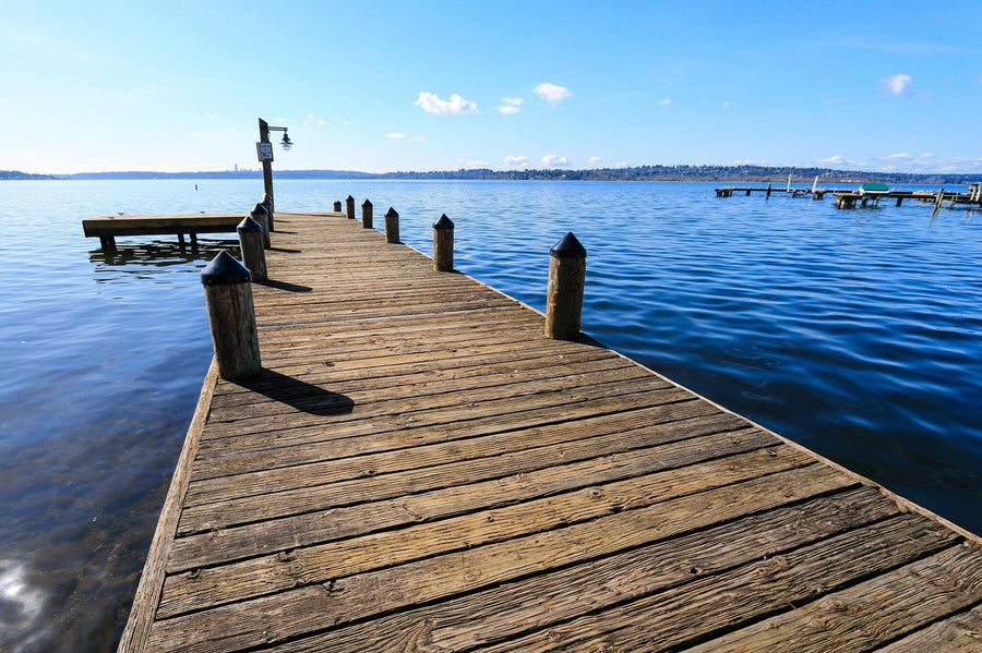 A modern living-dining area with wood floors, blue chairs, and a long dining table is enhanced by the Public Dock at Marine Point Wall Mural, showcasing a realistic dock over calm water beneath a clear sky.