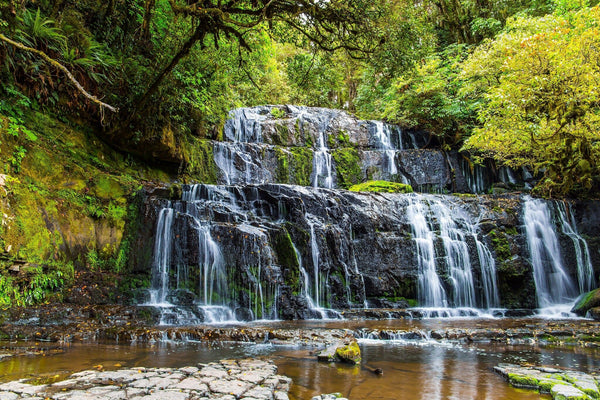 Purakaunui Falls Wall Mural Peel and stick Wall Mural Deposit Photo Color Original Custom Size