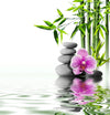 The Purple Orchid Wall Mural by Deposit Photo showcases stacked gray stones next to a pink orchid amidst green bamboo, reflecting on calm water. It's perfect for adding peace and tranquility to any space with custom printed murals.