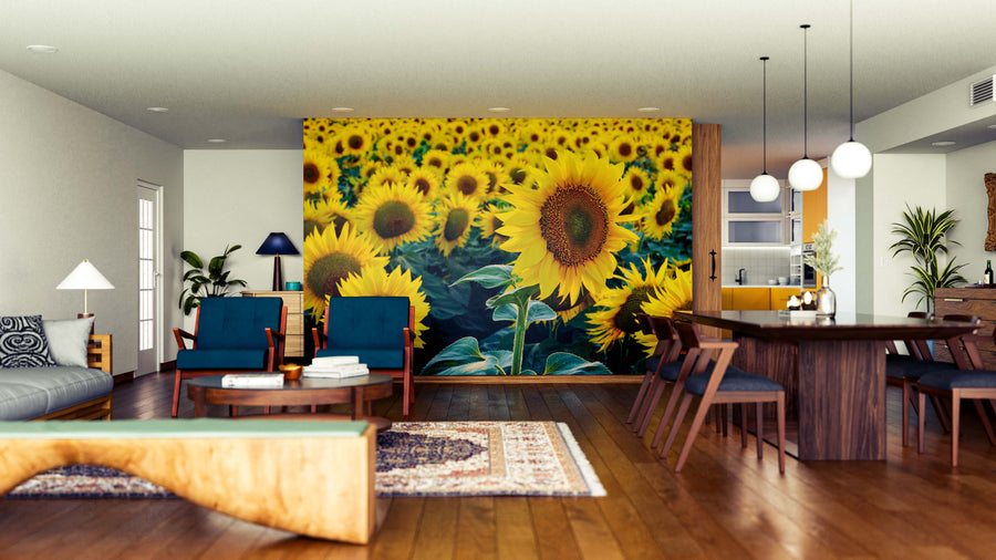 A modern living and dining room with wooden floors features the Radiance of Nature Wall Mural depicting vibrant sunflowers. Blue chairs, a wooden dining table, and decorative plants create a cozy, welcoming space with natural accents.